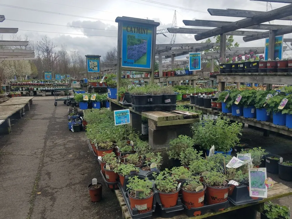 Expert garden landscaping near you across Macedon, NY - Wayside Garden Center