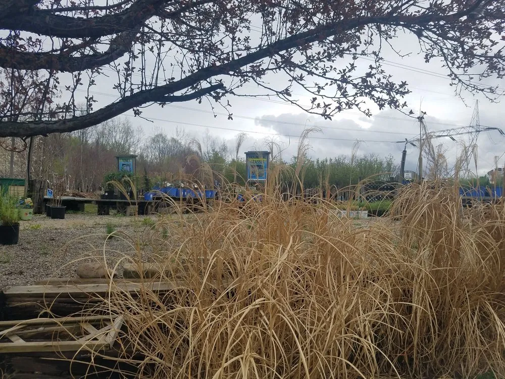 Local garden landscaping in Macedon, NY - Wayside Garden Center