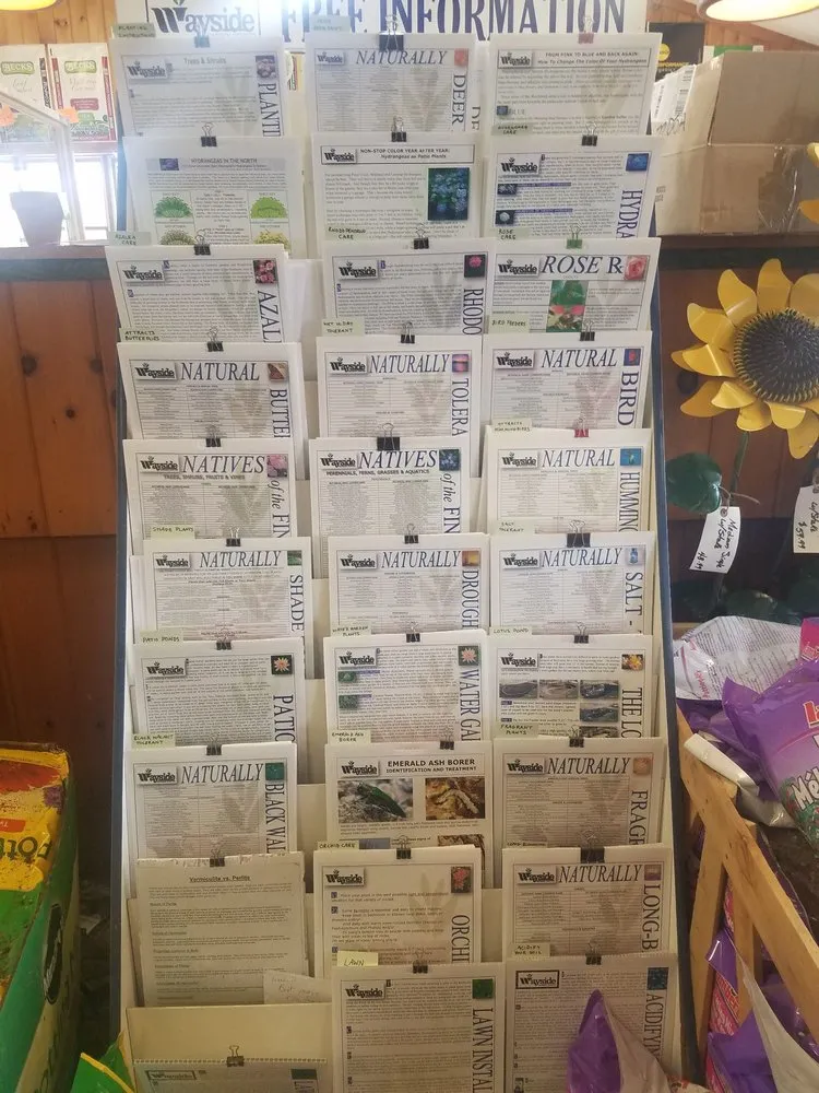 Custom garden landscaping in Macedon, NY - Wayside Garden Center