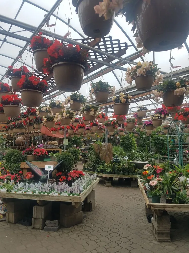 Local residential landscaping in Macedon, NY by Wayside Garden Center