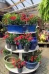 Top-rated garden landscaping near you in Macedon, NY by Wayside Garden Center