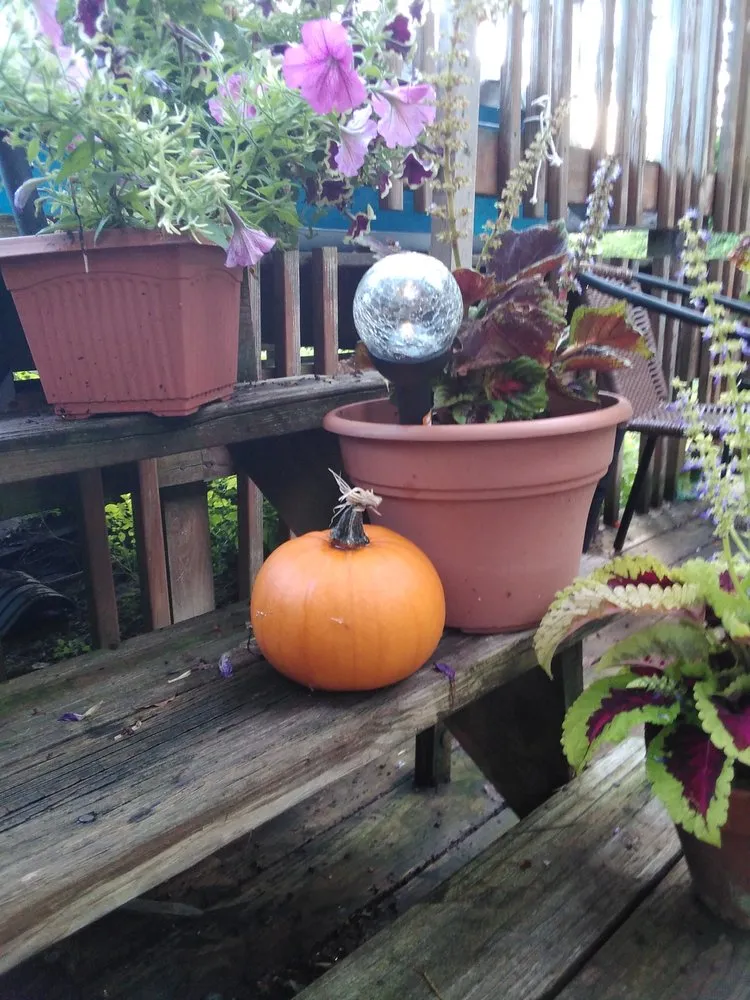 Trusted residential landscaping in Macedon, NY by Wayside Garden Center