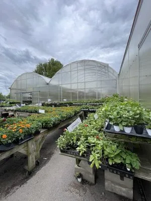 Wayside Garden Center