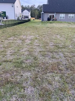 Wayside Landscapes And Supply