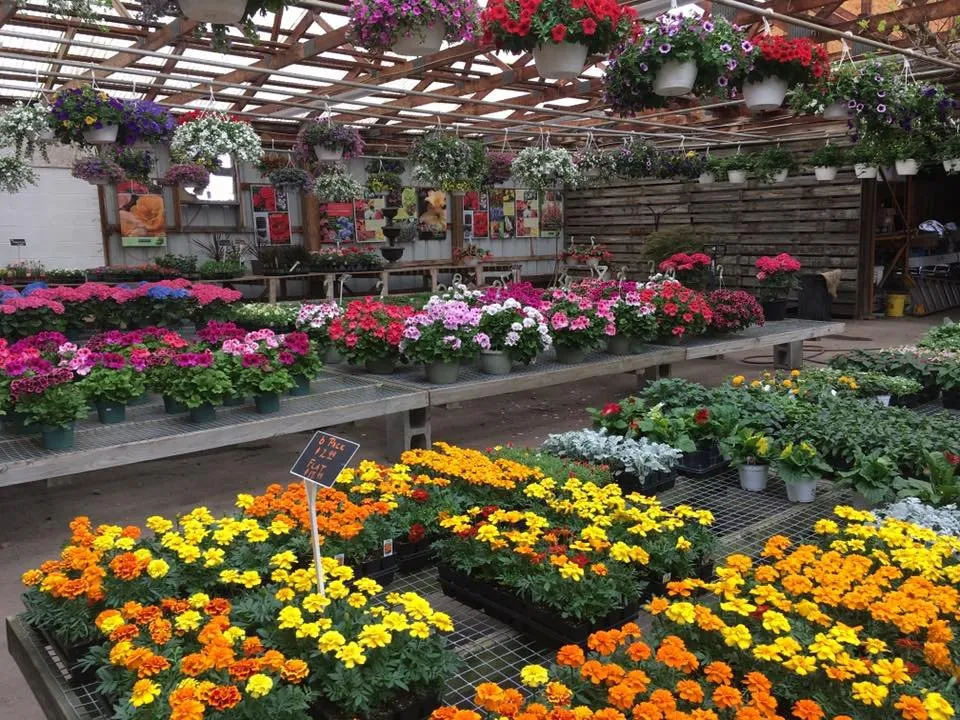 Professional garden landscaping for beautiful yards in Niagara Falls, NY by Wayside Nursery Inc