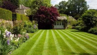 Expert landscape installation in Oscoda Township, MI - Wazzy Make it Shine