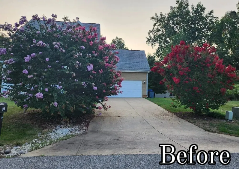 Local landscape design in Newburg, MD - WB Land Services