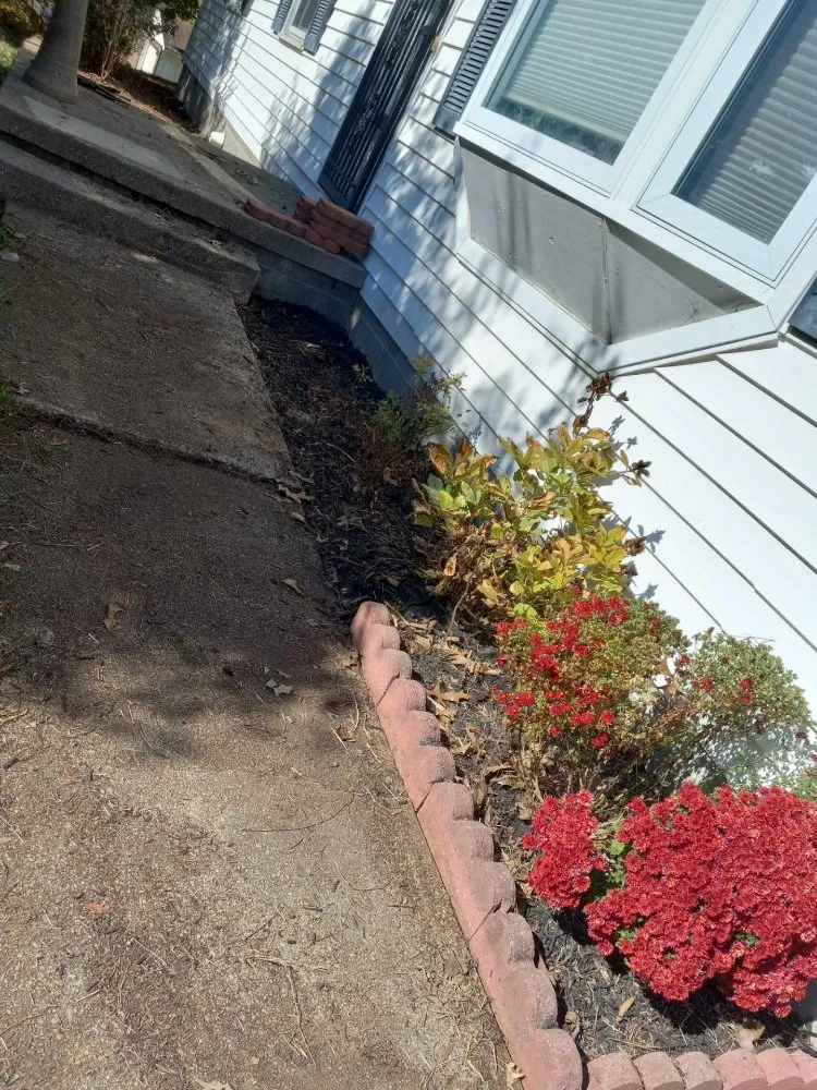 Professional lawn care service near you in Newburg, MD by WB Land Services