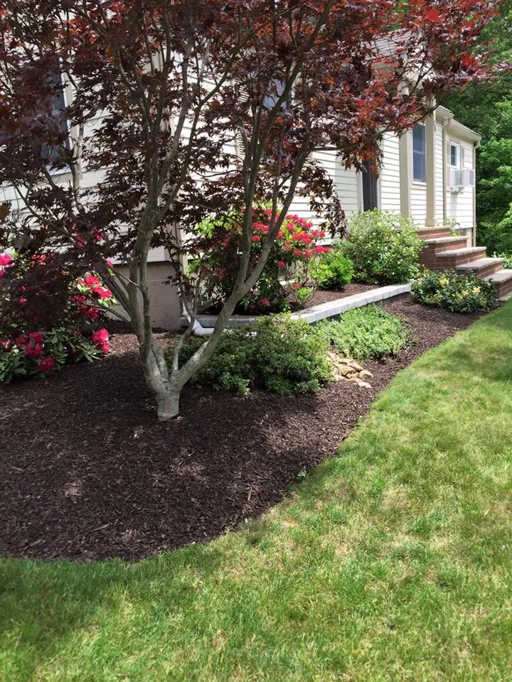 Expert landscape design for homes across North Andover, MA - WB Landscapes