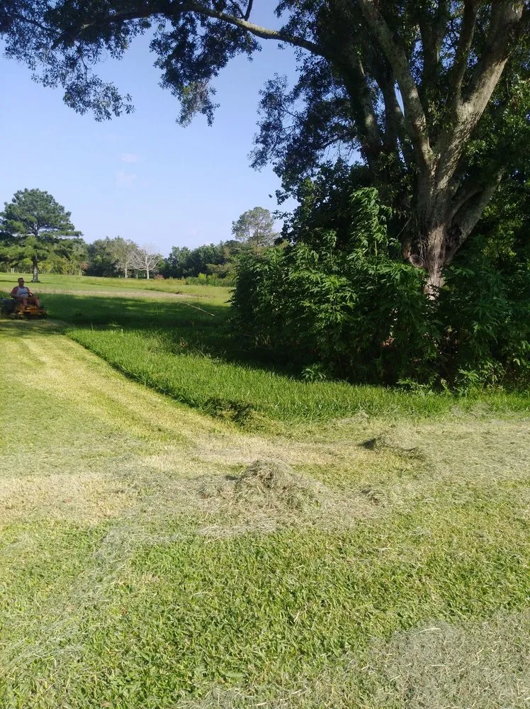Expert yard cleanup service for outdoor upgrades across Raceland, LA - WB Lawn Care