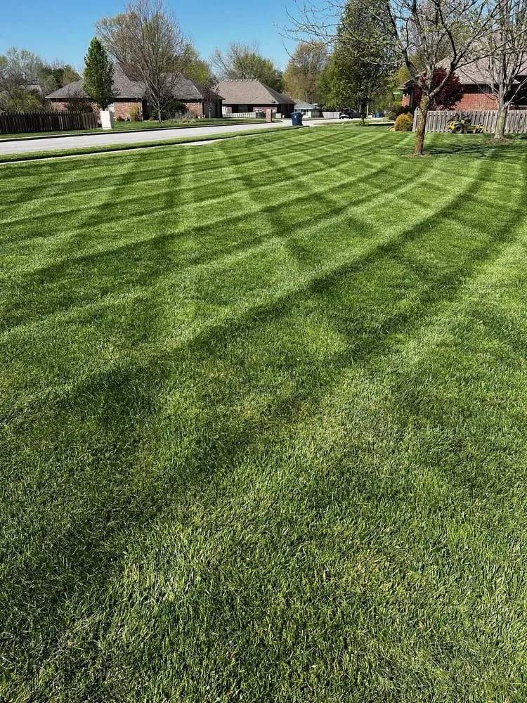 Affordable landscaping services for outdoor upgrades in Springfield, MO by WB Lawn Care Services