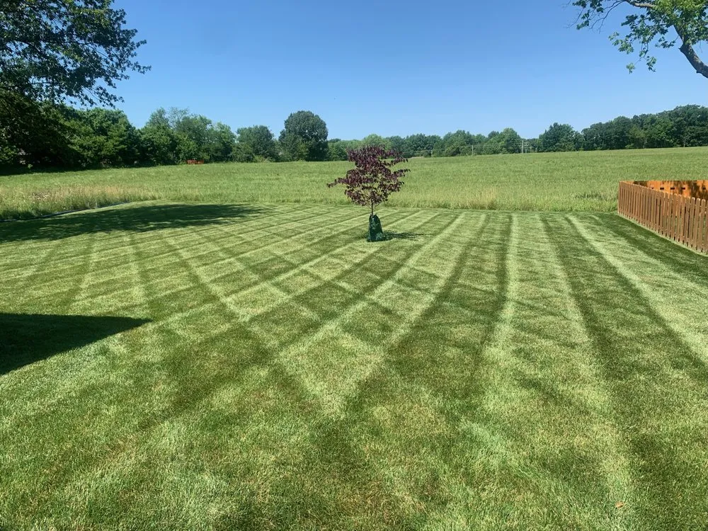 Trusted residential landscaping near you across Springfield, MO - WB Lawn Care Services