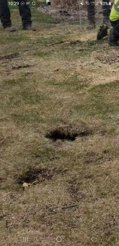 Top-rated residential landscaping for beautiful yards across Pontiac, MI - WB Maintenance