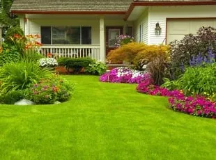 Professional lawn mowing service experts serving Morgantown, WV - W&C Excavating