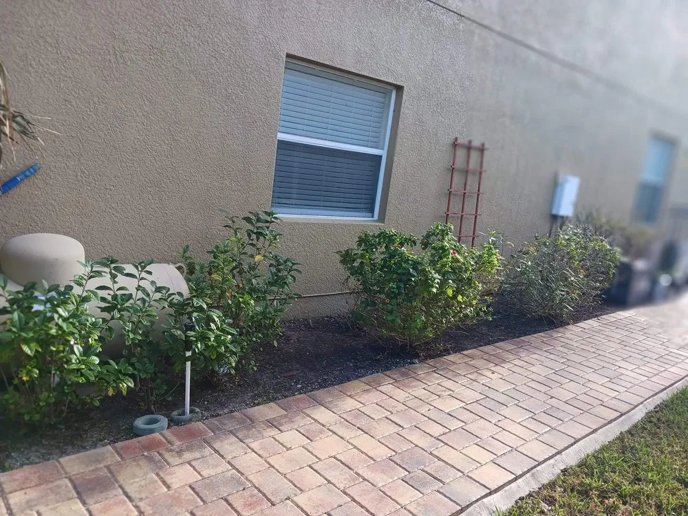 Local residential landscaping for year-round maintenance across Land O' Lakes, FL - WC Family Lawn Care