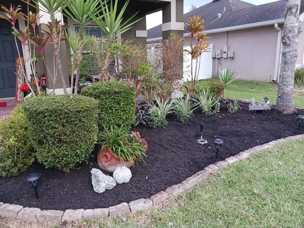 Professional lawn care service near you in Land O' Lakes, FL by WC Family Lawn Care