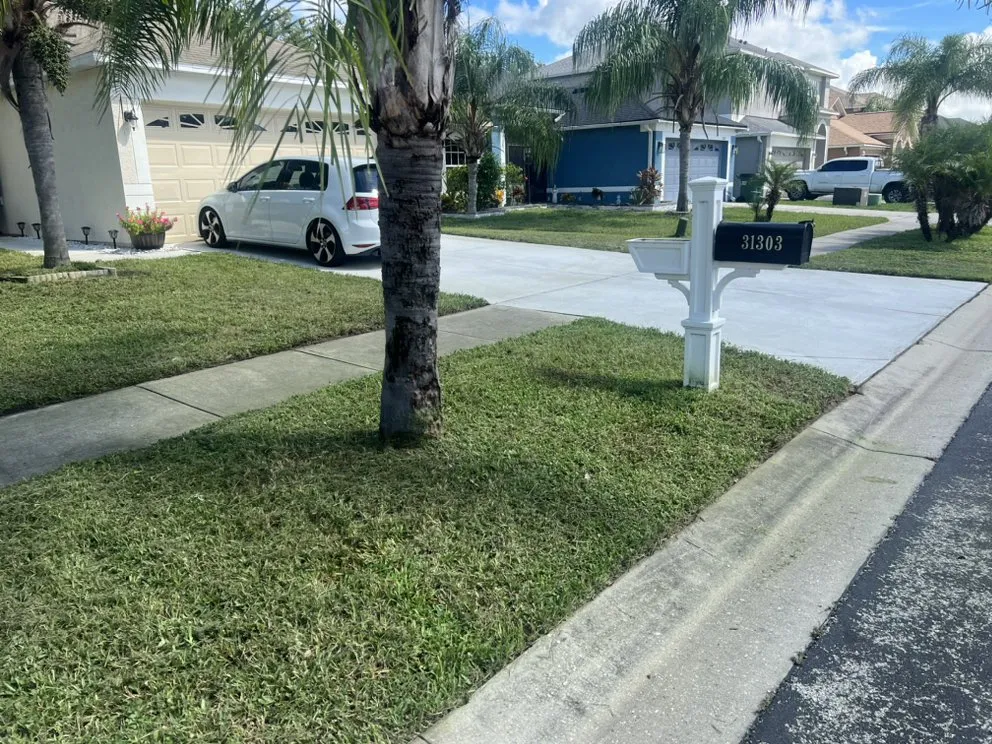 Reliable yard maintenance for outdoor upgrades across Land O' Lakes, FL - WC Family Lawn Care