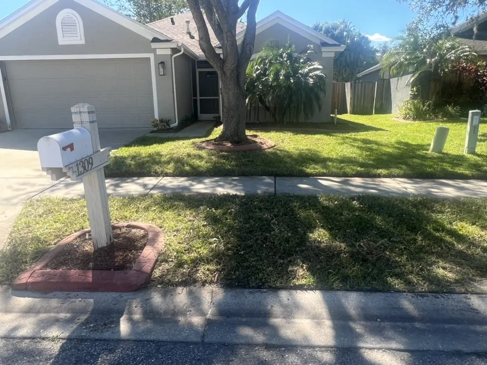 Custom yard cleanup service in Land O' Lakes, FL by WC Family Lawn Care