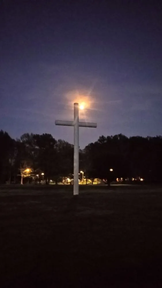 Custom yard cleanup service experts serving Lafayette, TN - WC Home Services