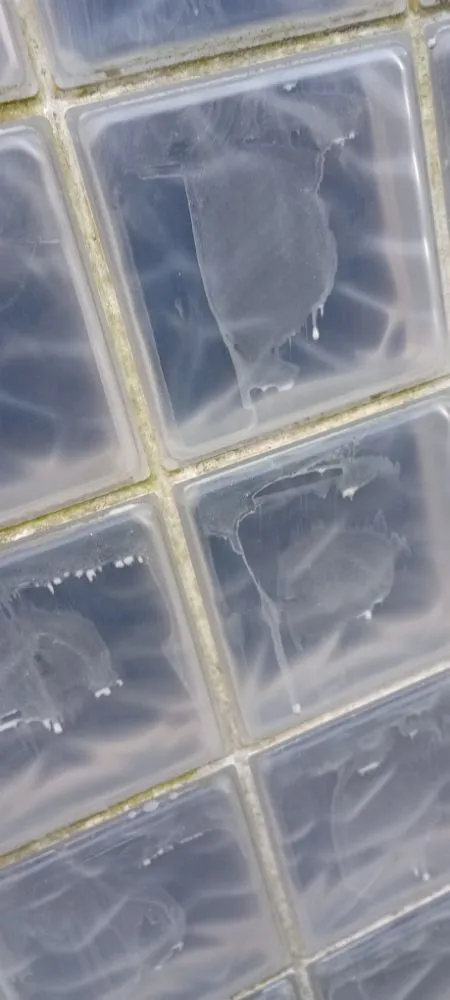 Professional lawn mowing service experts serving Lafayette, TN - WC Home Services