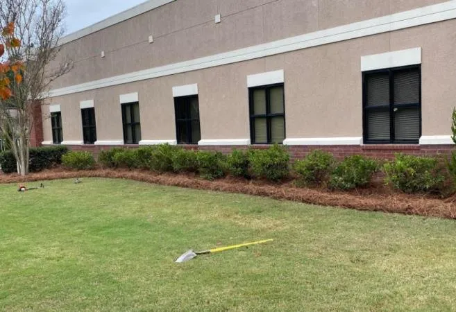 Expert landscape design for beautiful yards across Alabaster, AL - W&C Landscaping