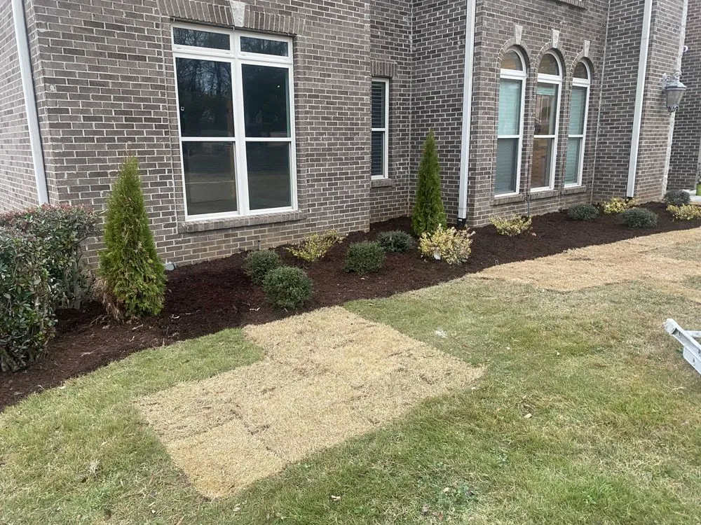 Local lawn mowing service experts serving Alabaster, AL - W&C Landscaping