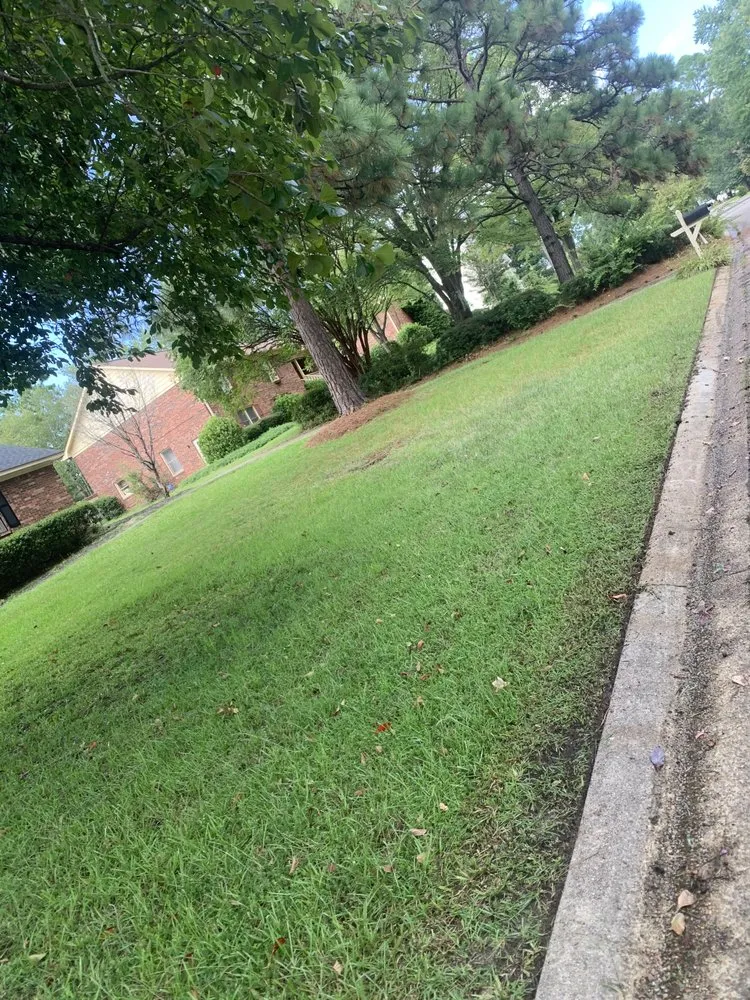 Trusted landscaping services in Columbia, SC by W&C Lawn Service