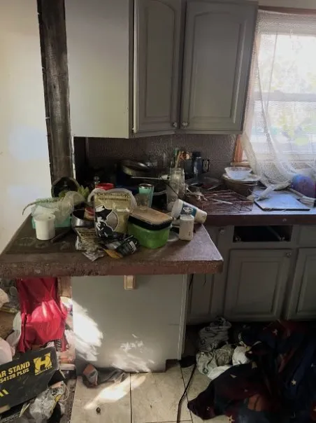 Top-rated landscape design in Mattoon, IL by Wcd Services