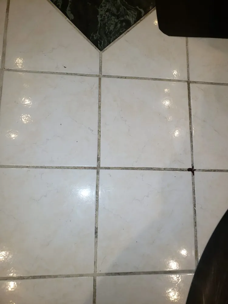 Affordable lawn care service in Philadelphia, PA by WCDB Cleaning Co & Lawn Care Services