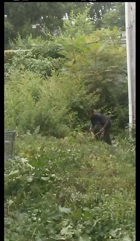 Expert lawn care service in Philadelphia, PA - WCDB Cleaning Co & Lawn Care Services