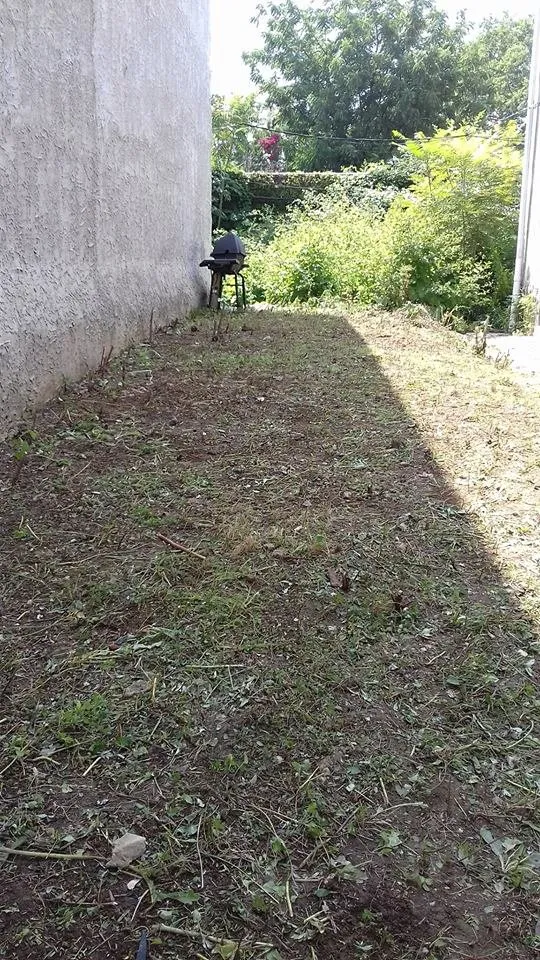 Reliable residential landscaping in Philadelphia, PA - WCDB Cleaning Co & Lawn Care Services