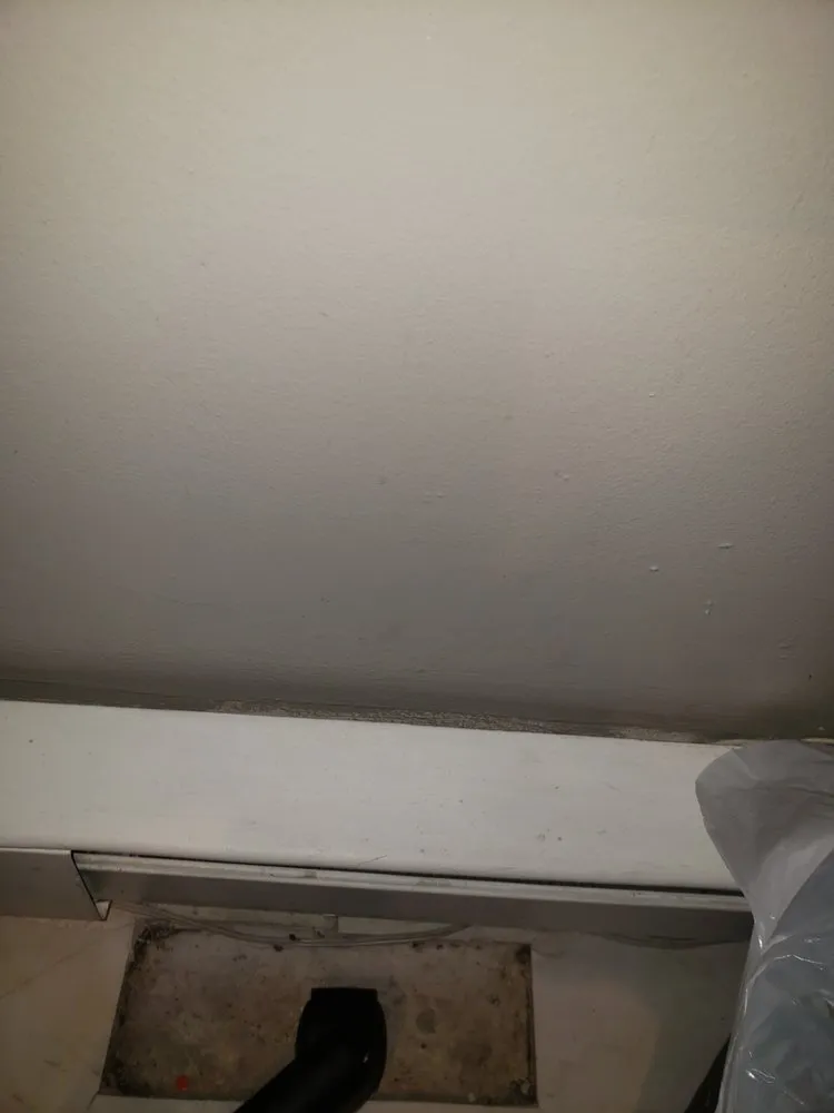 Professional yard maintenance in Philadelphia, PA - WCDB Cleaning Co & Lawn Care Services