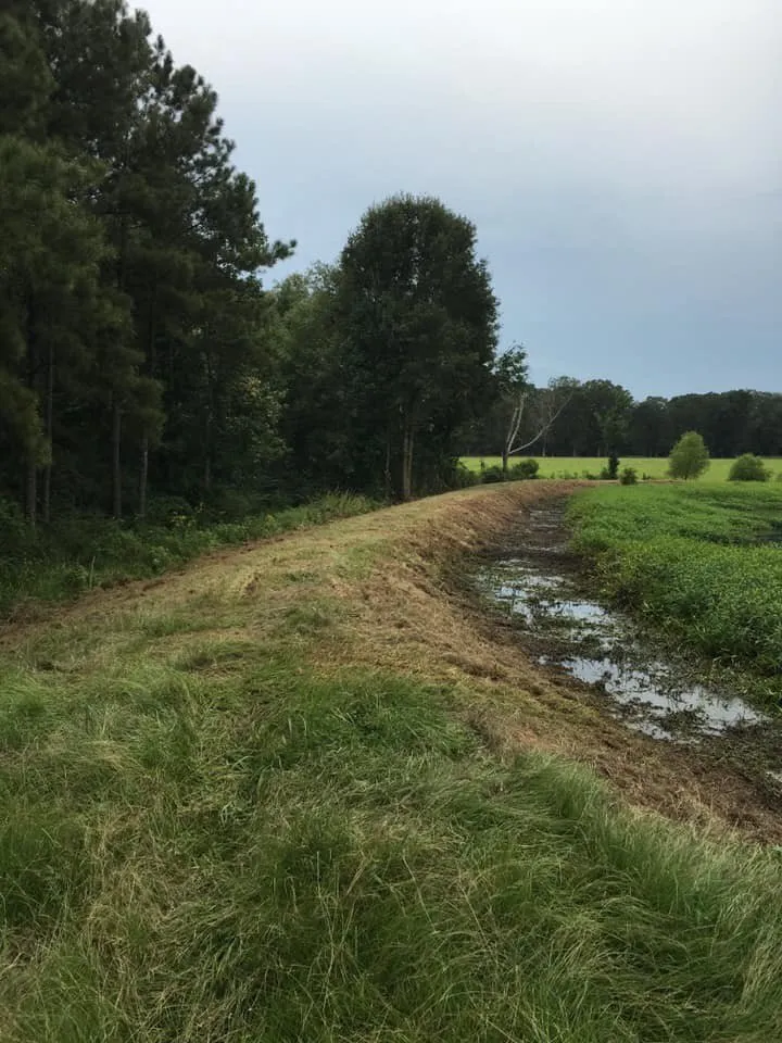 Expert yard maintenance experts serving Huffman, TX - W&D Associates