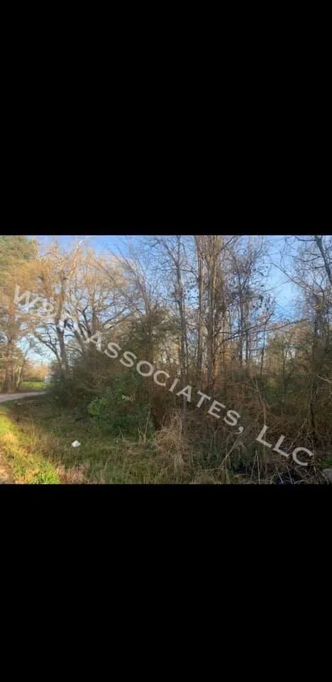 Trusted yard cleanup service experts serving Huffman, TX - W&D Associates