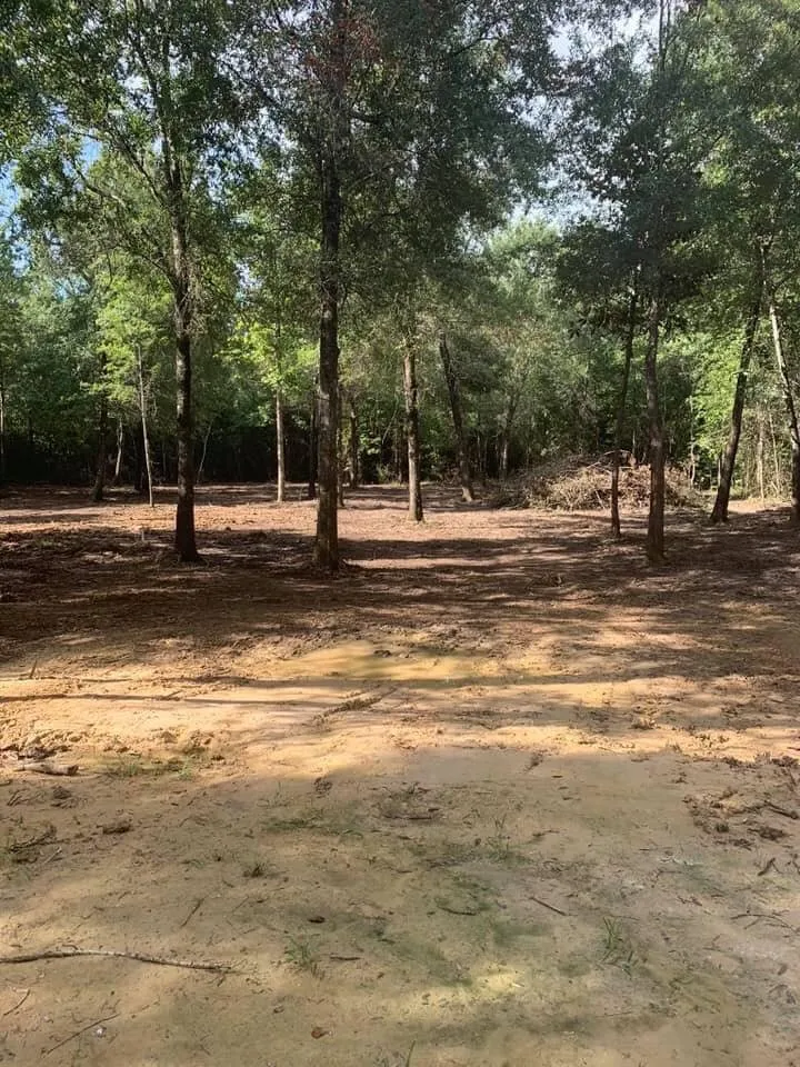 Custom landscaping services experts serving Huffman, TX - W&D Associates