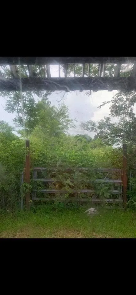 Trusted garden landscaping for outdoor upgrades in Huffman, TX by W&D Associates