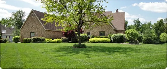 Expert lawn mowing service in Arlington, VA - WD Giampa Lawn and Landscapes