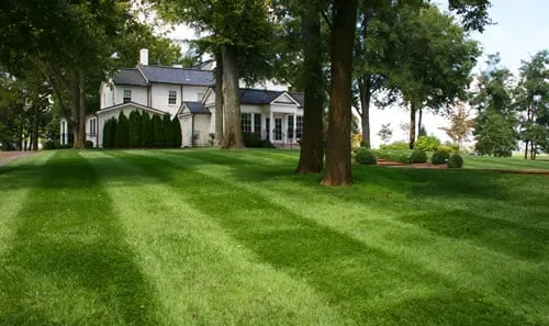 Local landscaping services for year-round maintenance in Arlington, VA by WD Giampa Lawn and Landscapes