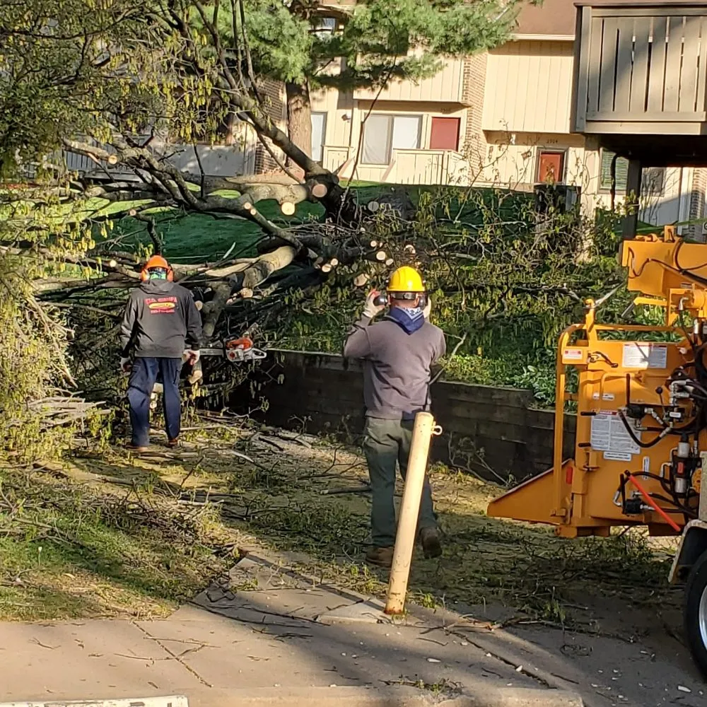 Expert landscape design for beautiful yards across Manassas, VA - Wd Giampa Lawns & Landscape