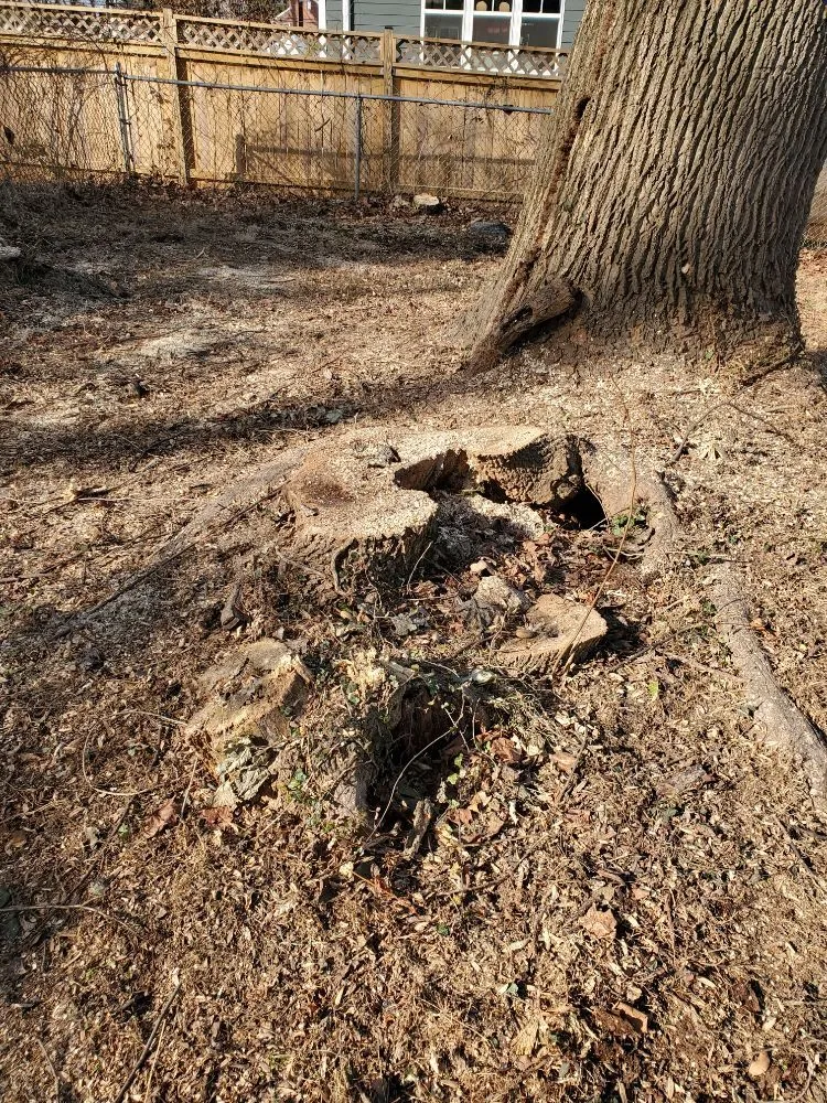 Trusted lawn care service with custom design in Manassas, VA by Wd Giampa Lawns & Landscape