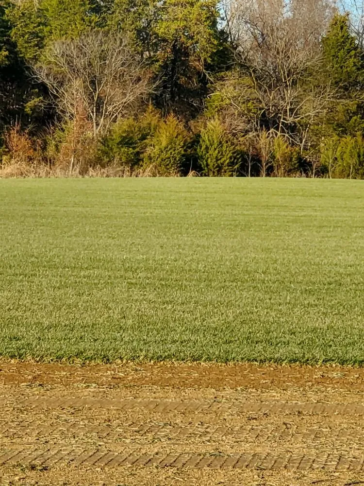 Affordable garden landscaping near you in Manassas, VA by Wd Giampa Lawns & Landscape