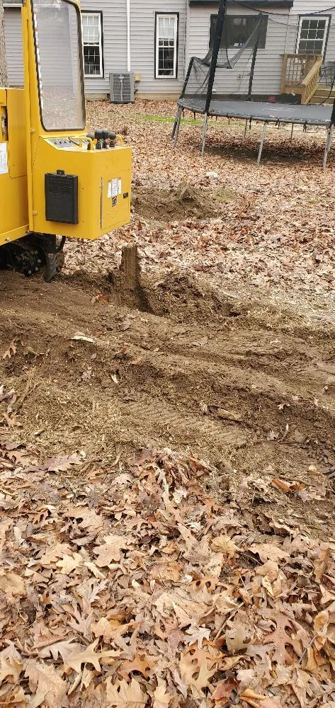 Professional yard cleanup service in Manassas, VA by Wd Giampa Lawns & Landscape