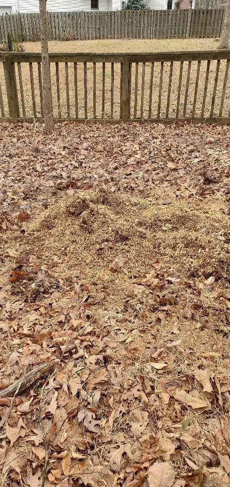 Trusted yard cleanup service experts serving Manassas, VA - Wd Giampa Lawns & Landscape