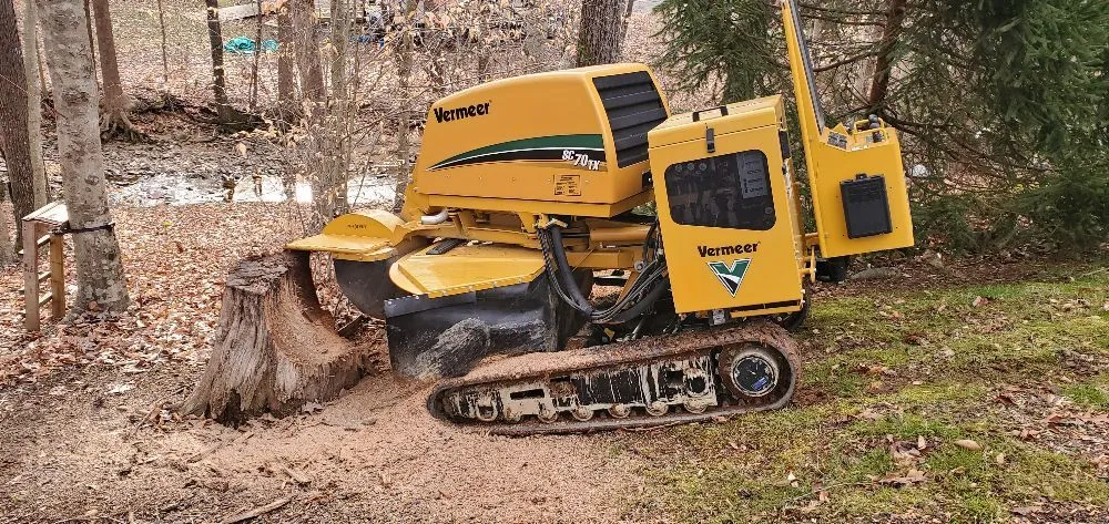 Expert lawn care service in Manassas, VA - Wd Giampa Lawns & Landscape