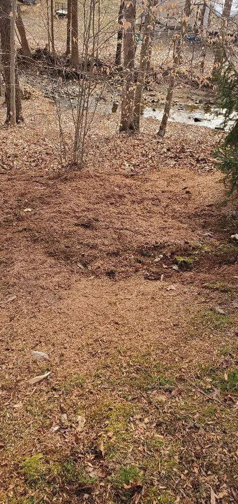 Top-rated lawn care service for outdoor upgrades across Manassas, VA - Wd Giampa Lawns & Landscape