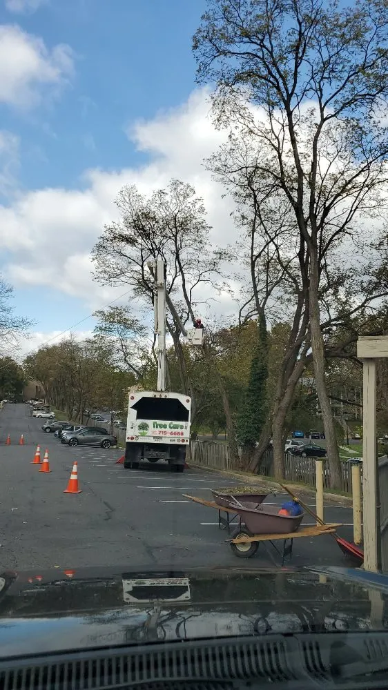 Custom yard cleanup service in Manassas, VA - Wd Giampa Lawns & Landscape