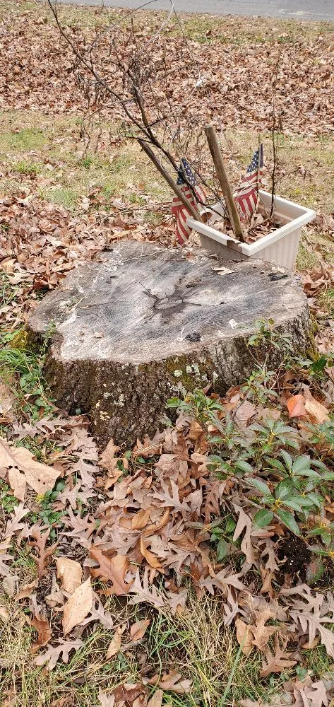 Professional landscape installation for year-round maintenance across Manassas, VA - Wd Giampa Lawns & Landscape