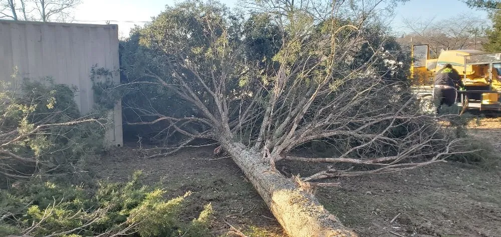 Top-rated yard cleanup service for outdoor upgrades in Manassas, VA by Wd Giampa Lawns & Landscape