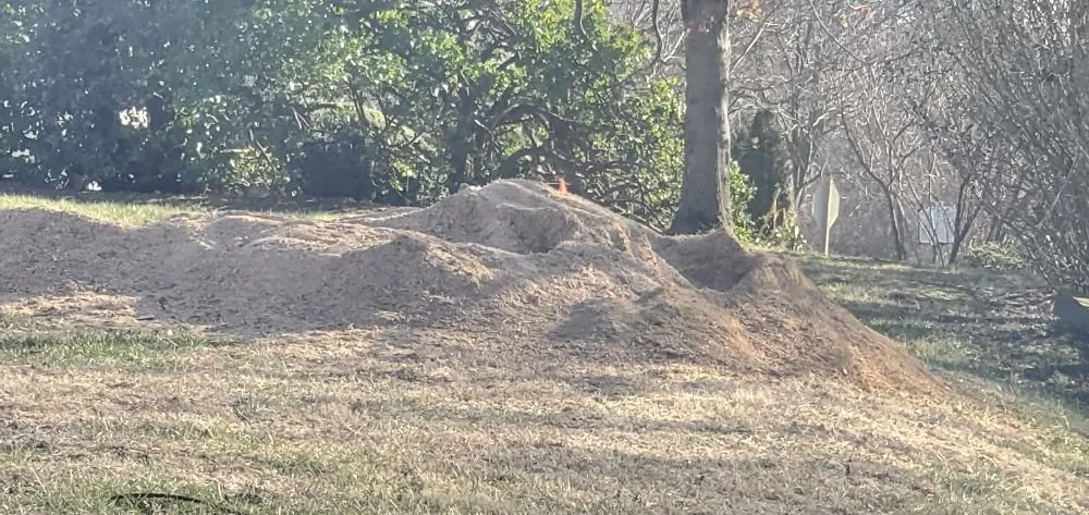 Reliable lawn care service for outdoor upgrades across Manassas, VA - Wd Giampa Lawns & Landscape