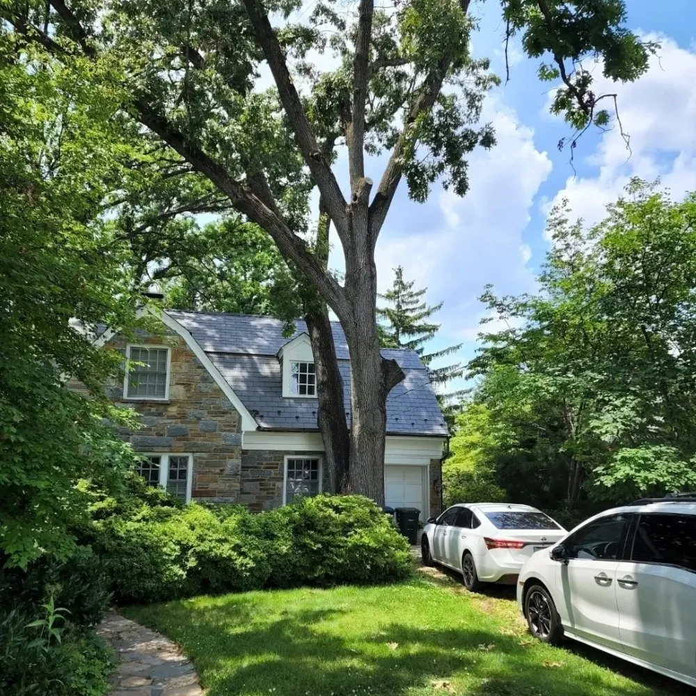 Professional residential landscaping for outdoor upgrades in Manassas, VA by Wd Giampa Lawns & Landscape